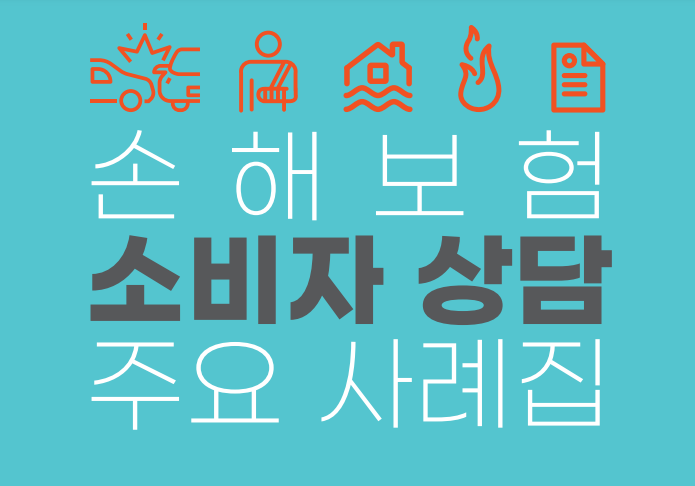 손해보험 소비자상담 주요사례집 이미지