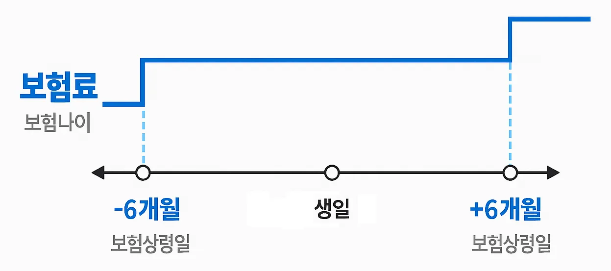 상령일 보험료 변동