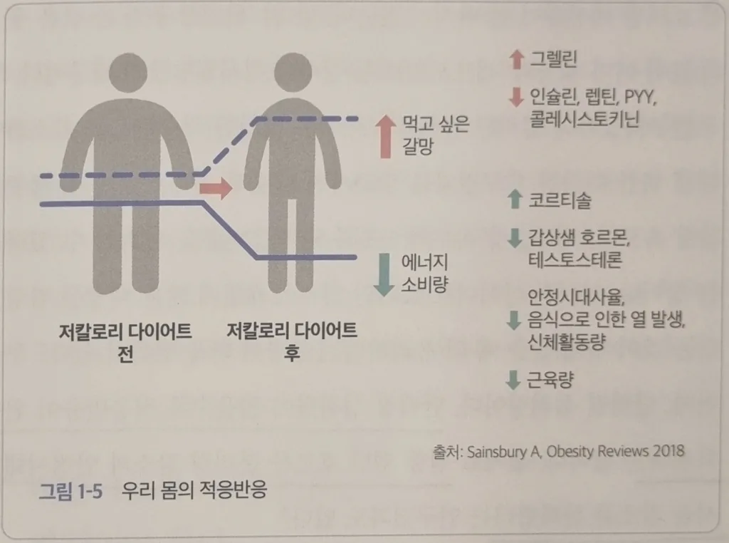 박용우 호르메시스와 간헐적단식 그림1-5